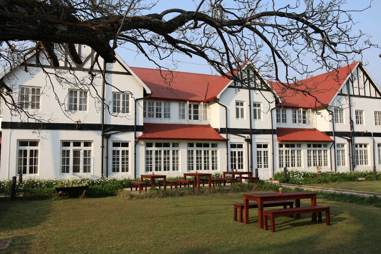 pexels photo 23659944.jpeg